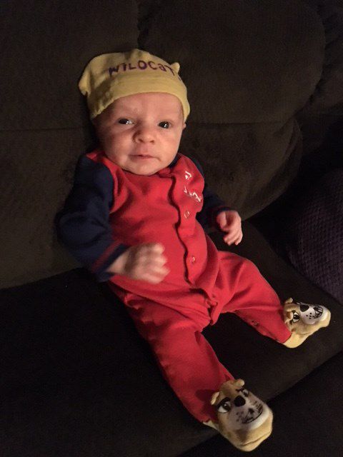 Jack Van Acker-Cutest Little Wildcat